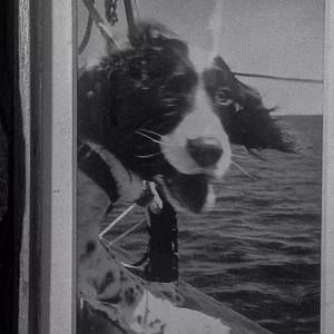 Meet your Posher, Morton